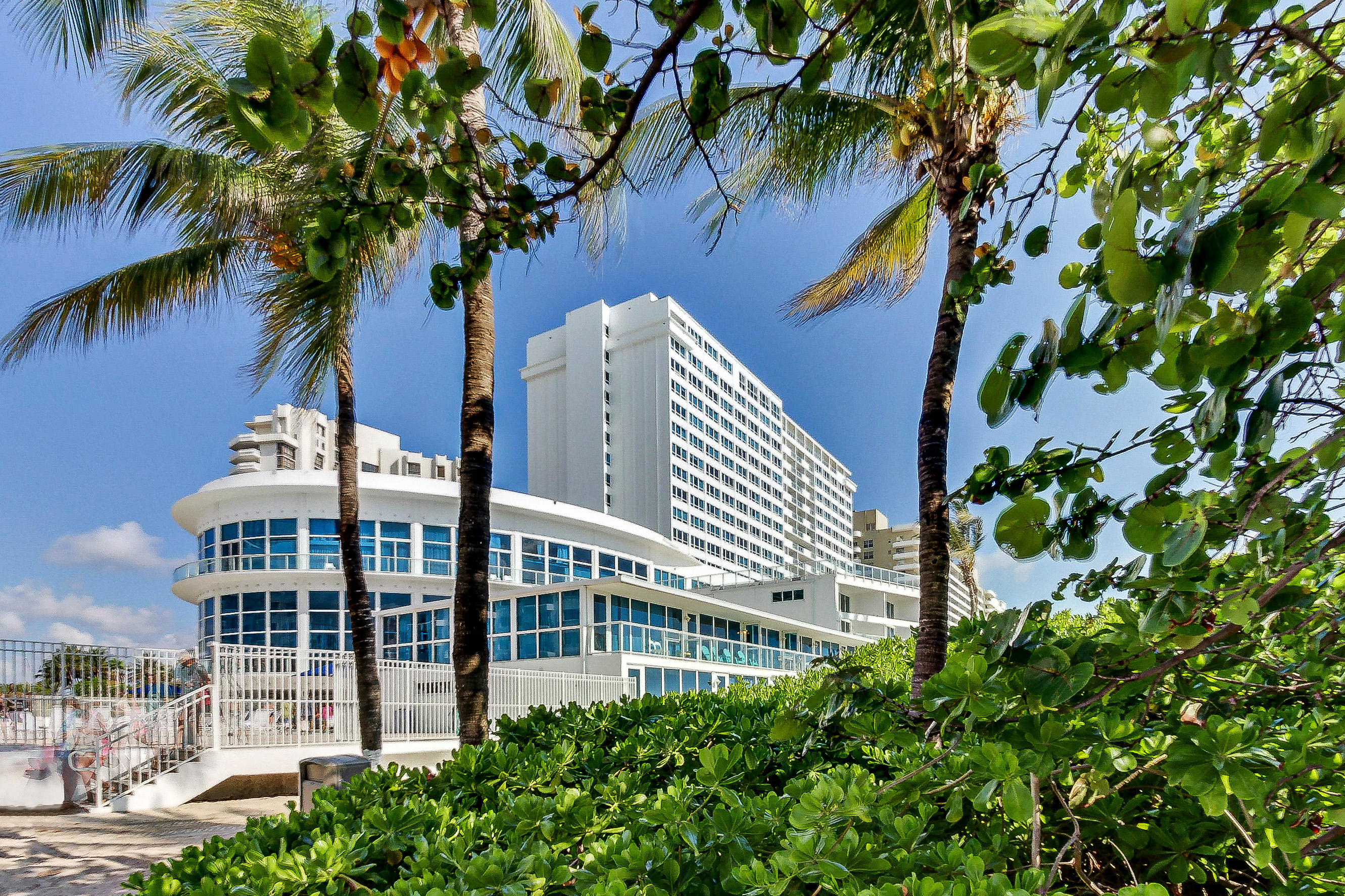 Miami Beach Condo 908181