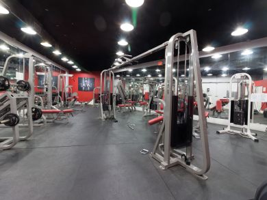 Miami Beach Condo 908187