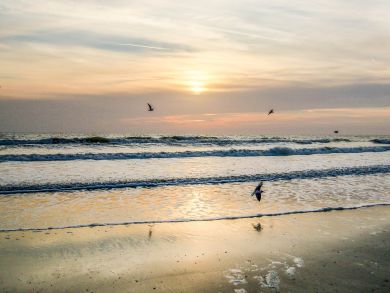 Cocoa Beach Condo 908192