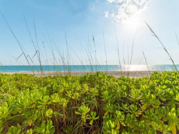 Expansive 5-Bedroom Gulf-Front Oasis on Manasota key