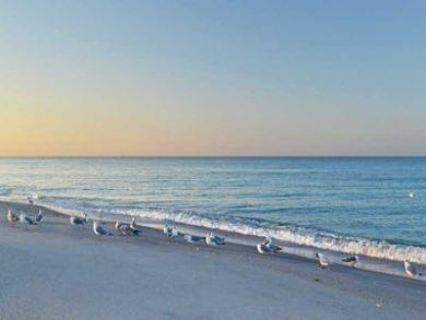 Manasota Key Condo 908441