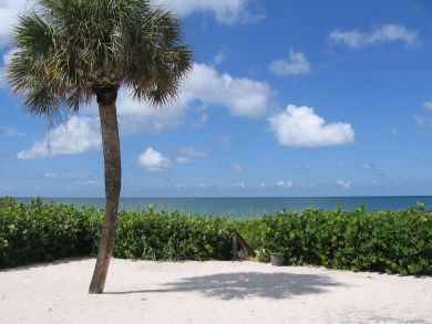 Casey Key Home 908554