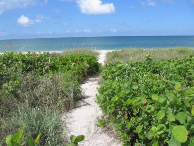 Casey Key Home 908554