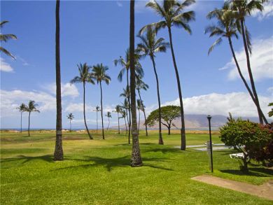 Two Bedroom Ocean View Luxury Condo Sleeps 6 Communal Pool Two Bedroom Ocean View Luxury Condo Sleeps 6 Communal Pool