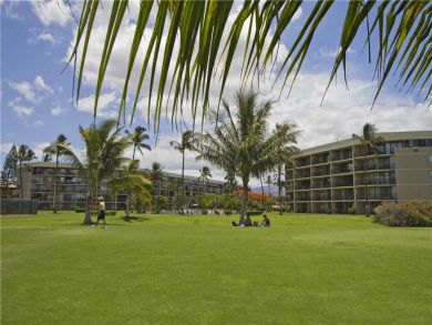 Two Bedroom Ocean View Luxury Condo Sleeps 6 Communal Pool Two Bedroom Ocean View Luxury Condo Sleeps 6 Communal Pool
