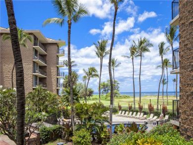 Two Bedroom Ocean View Luxury Condo Sleeps 6 Communal Pool Two Bedroom Ocean View Luxury Condo Sleeps 6 Communal Pool