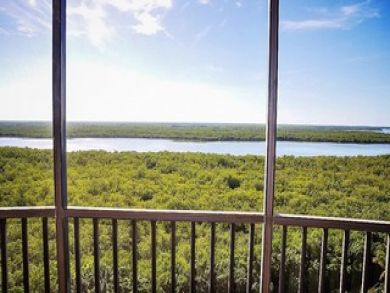 Naples Condo 908762