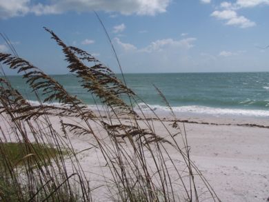 Boca Grande Home 908905 Boca Grande Home 908905