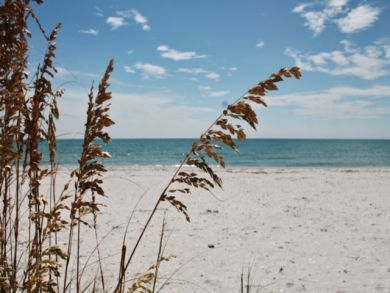 Boca Grande Home 908913