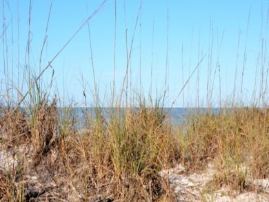 Boca Grande Home 908924 Boca Grande Home 908924