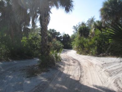 Boca Grande Home 908949