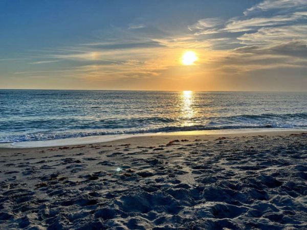 Three Bedroom Cottage Just Steps to Siesta Key Beach