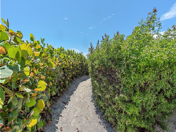 Longboat Key Vacation Rental - Florida Gulf Coast Condo with Pool & Beach Access