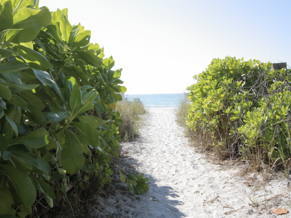 Bay to Beach Resort on Longboat Key Right Across from  the Beach!