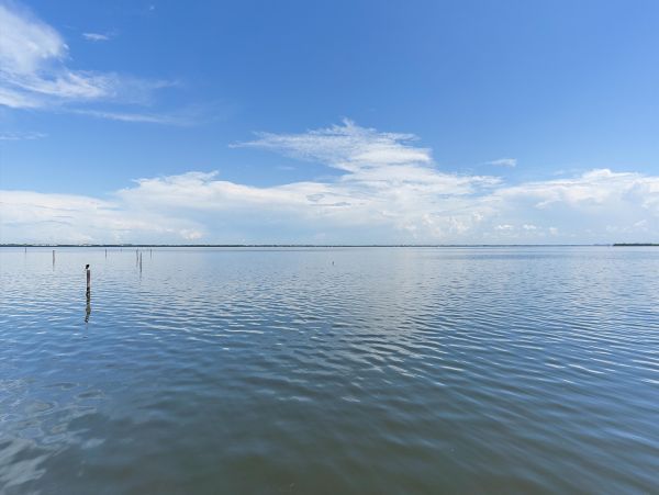 Longboat Key Vacation Rental - Renovated Condo with Beach Access
