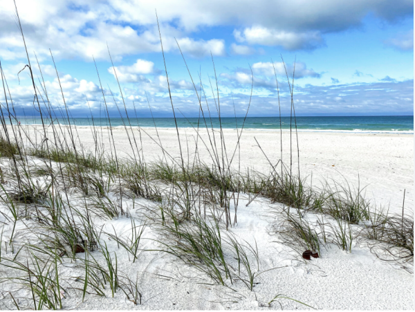 Anna Maria Island Vacation Rental – Beach House with Private Heated Pool & Spa