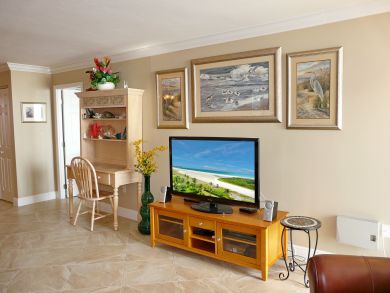 Marco Island Condo 910103