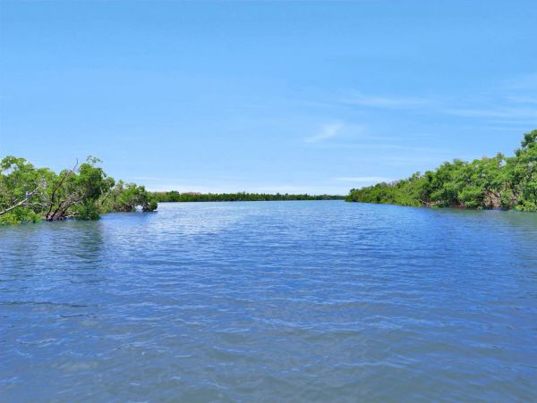 Marco Island Vacation Condo Two Bedroom