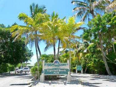 Marco Island Home 910134