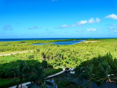 Marco Island Condo 910168