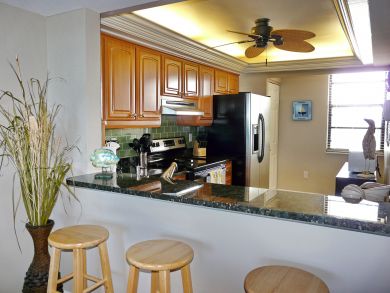 Marco Island Condo 910168