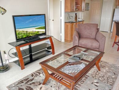 Luxurious Riverfront Condo Luxurious Riverfront Condo