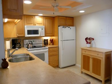 Marco Island Condo 910220
