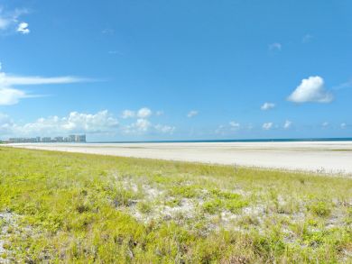 Marco Island Condo 910222