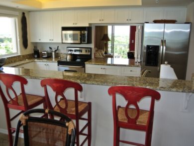 Naples Condo 910365 Naples Condo 910365