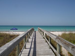 Beach View