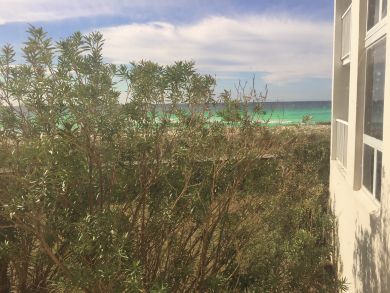 Destin Condo 910979
