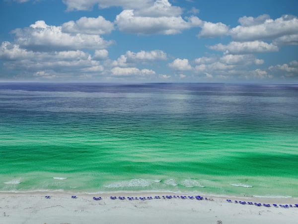 Luxurious Destin Vacation Rental with Private Pool - 7 king Bedrooms