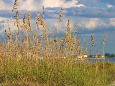 Siesta Key Value Rental Steps to Beach and Village