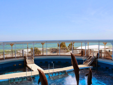 Okaloosa Island Fort Walton Beach Condo 911114 Okaloosa Island Fort Walton Beach Condo 911114