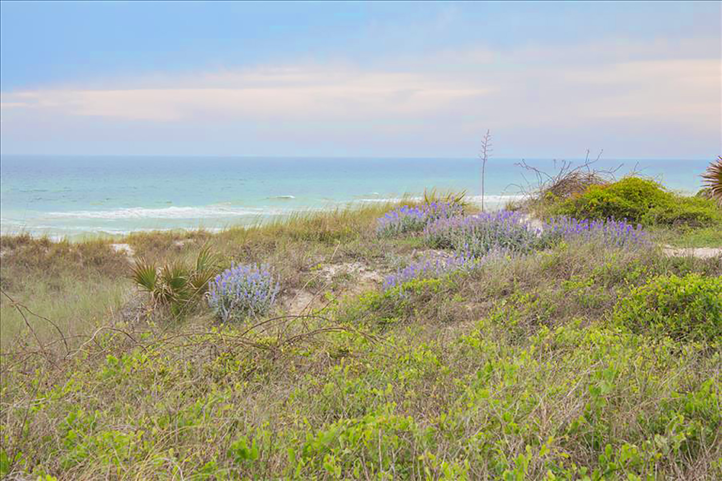 Panama City Beach Condo 911137