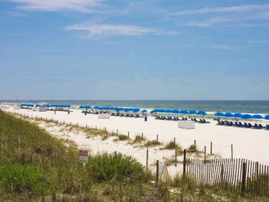 Panama City Beach Condo 911166