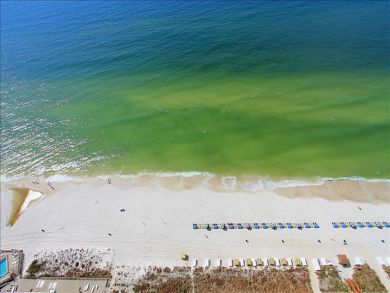 Panama City Beach Condo 911193