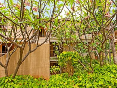 The Best Deal in Kaanapali Maui Call Now