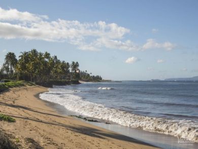 The Beach is Right Across the Street Great Kihei Rental