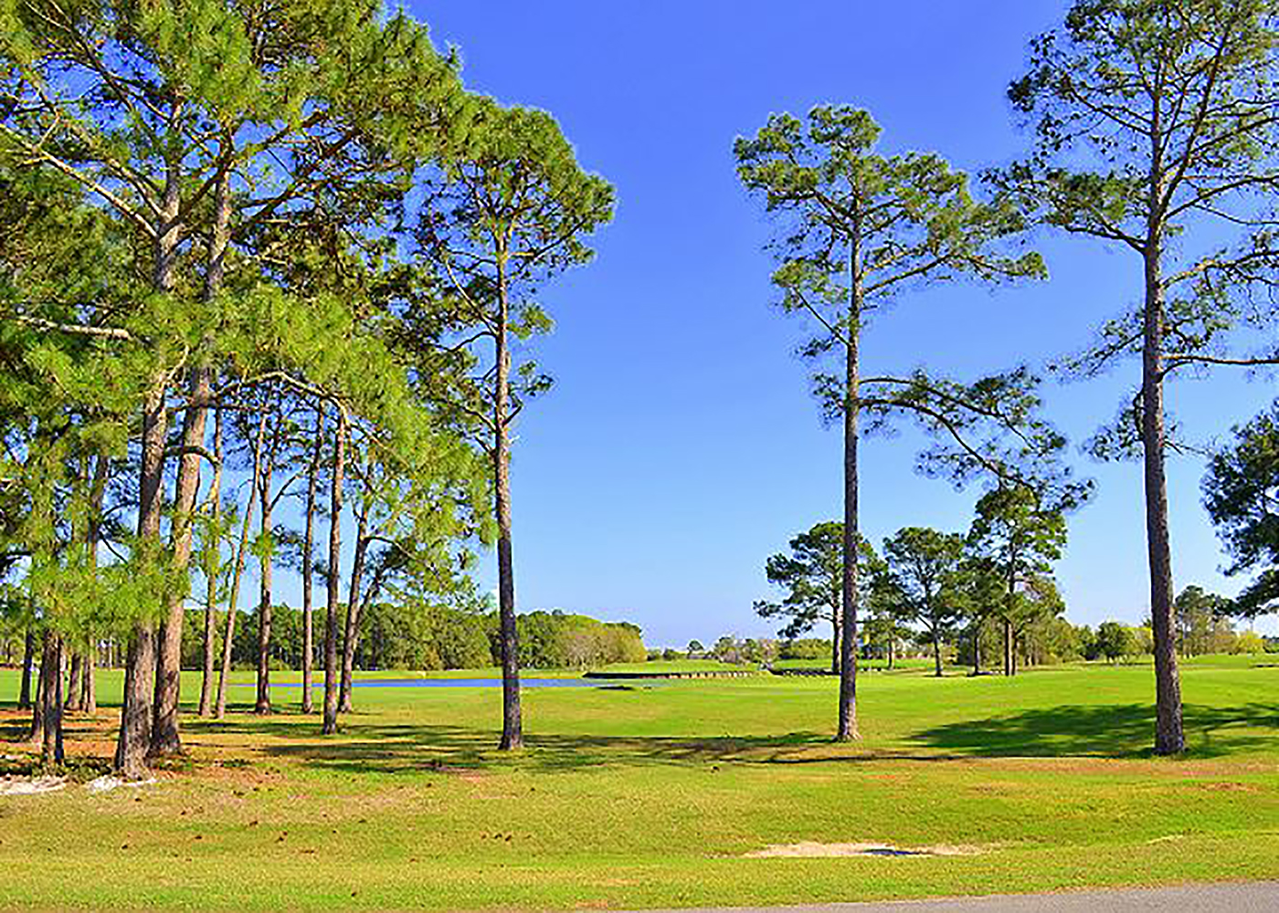 Beaches Of South Walton Condo 911312