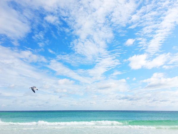 Miramar Beach Vacation Rental - Five Bedroom Home Private Pool & Master Suites