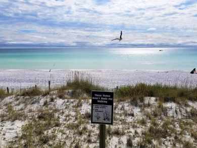 Beaches Of South Walton Condo 911322 Beaches Of South Walton Condo 911322