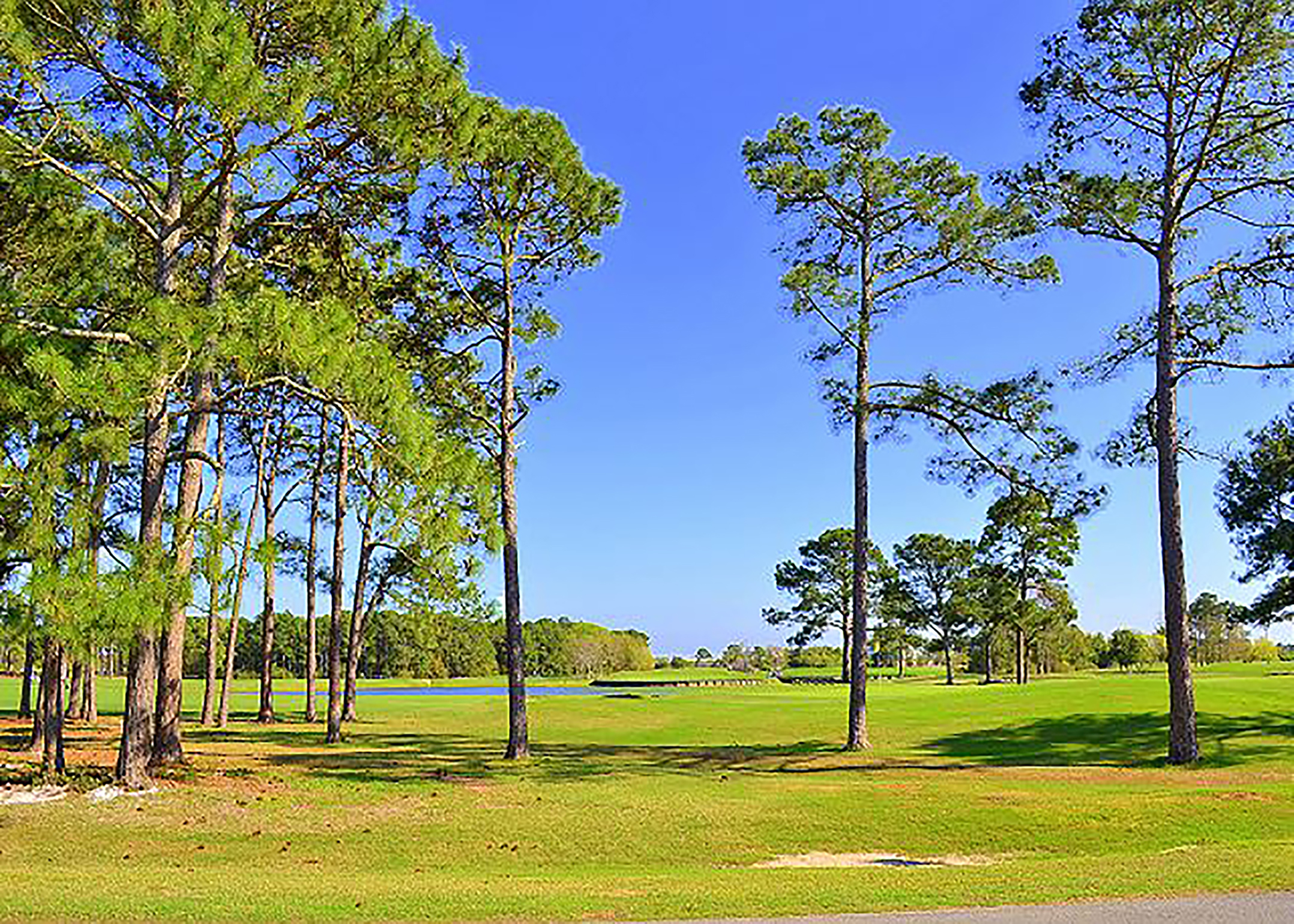 Beaches Of South Walton Condo 911338