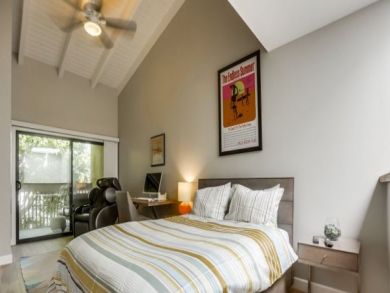 Amazing Updated 2 Bedroom Condo in Solana Beach