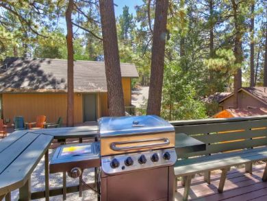 Warm and Inviting Rustic Home - Stone Fireplace and 2 Decks!