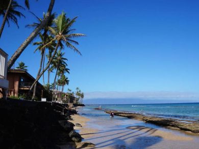 Maui One  Bedroom Condo Rental Lovely Lahaina Ocean Views