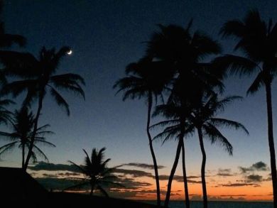 Maui One  Bedroom Condo Rental Lovely Lahaina Ocean Views