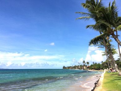 Maui One  Bedroom Condo Rental Lovely Lahaina Ocean Views