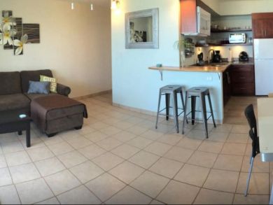 Maui One  Bedroom Condo Rental Lovely Lahaina Ocean Views