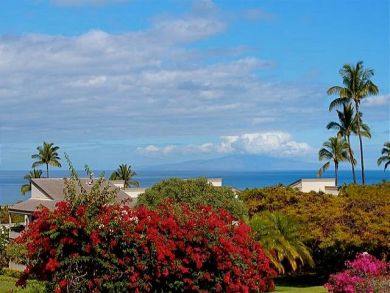 Wailea 2 Bedroom Condo Vacation Rental